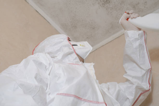 Best Commercial Mold Removal  in Riverdale Park, MD