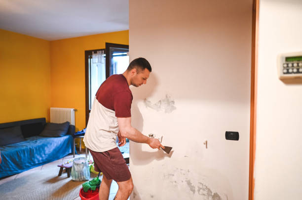 Best Mold Testing  in Riverdale Park, MD